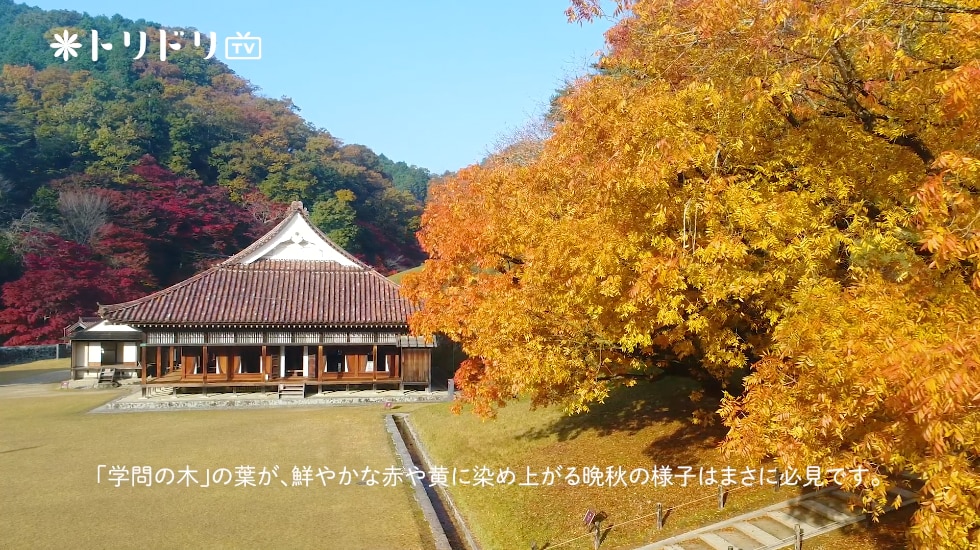 実績イメージ